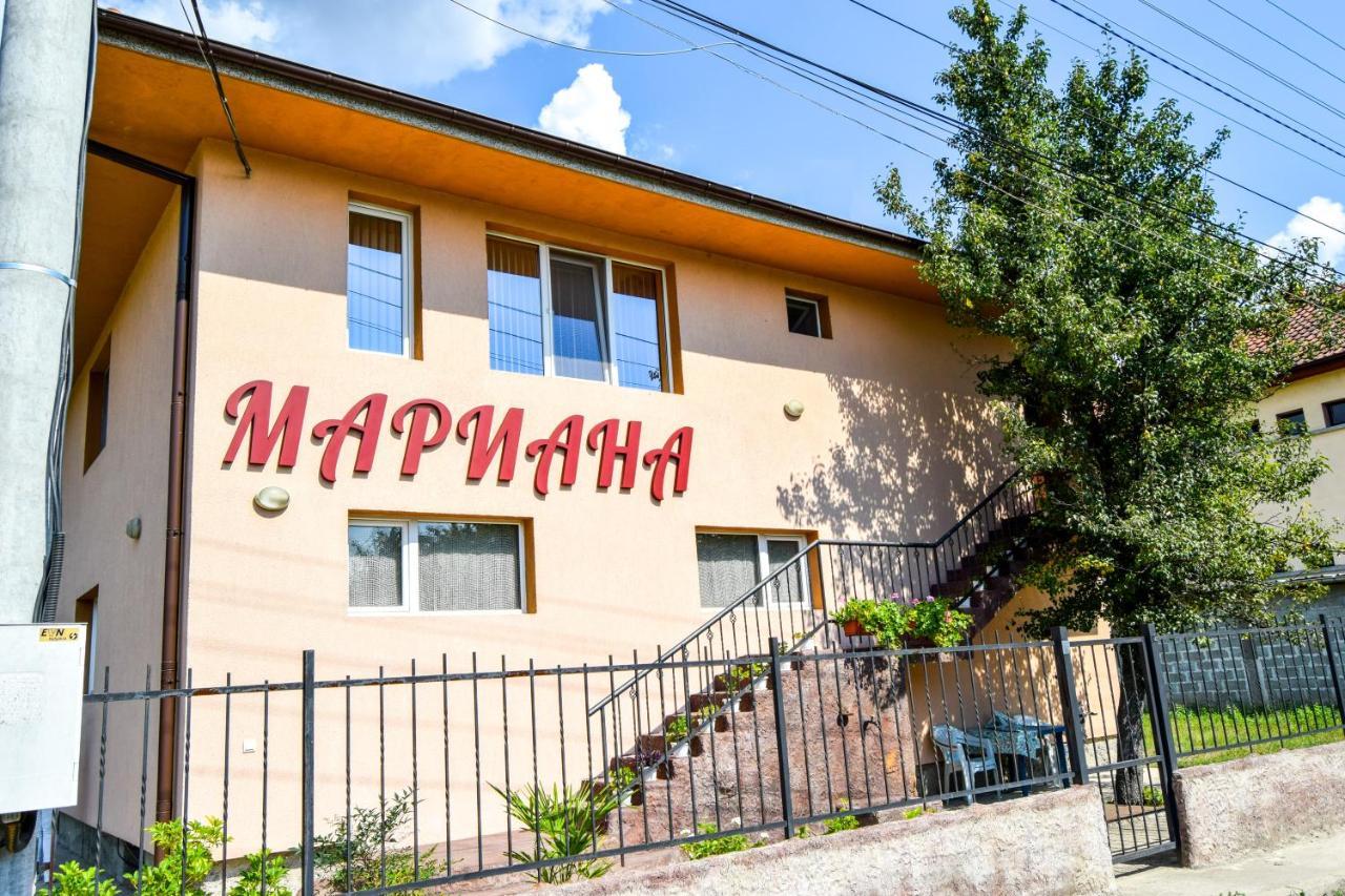 Mariana Apartment Pavel Banja Exteriér fotografie