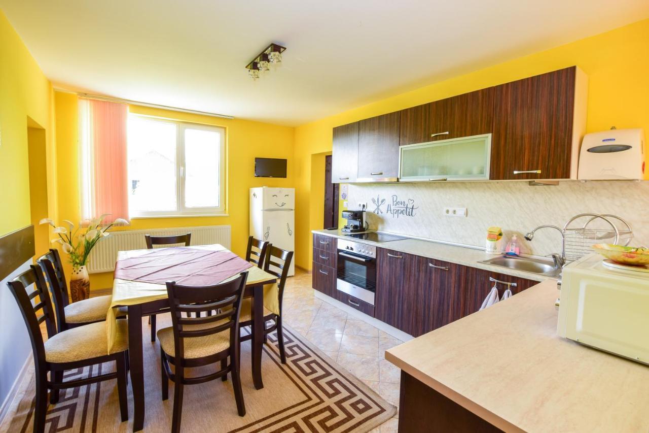 Mariana Apartment Pavel Banja Exteriér fotografie