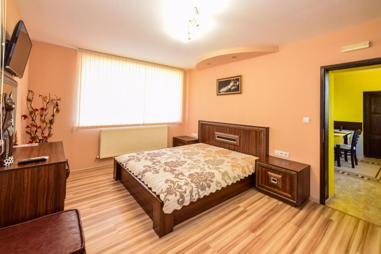 Mariana Apartment Pavel Banja Exteriér fotografie