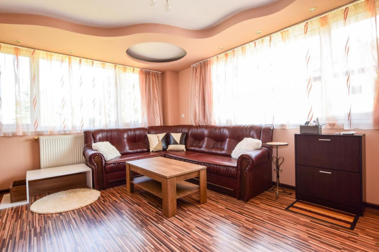 Mariana Apartment Pavel Banja Exteriér fotografie