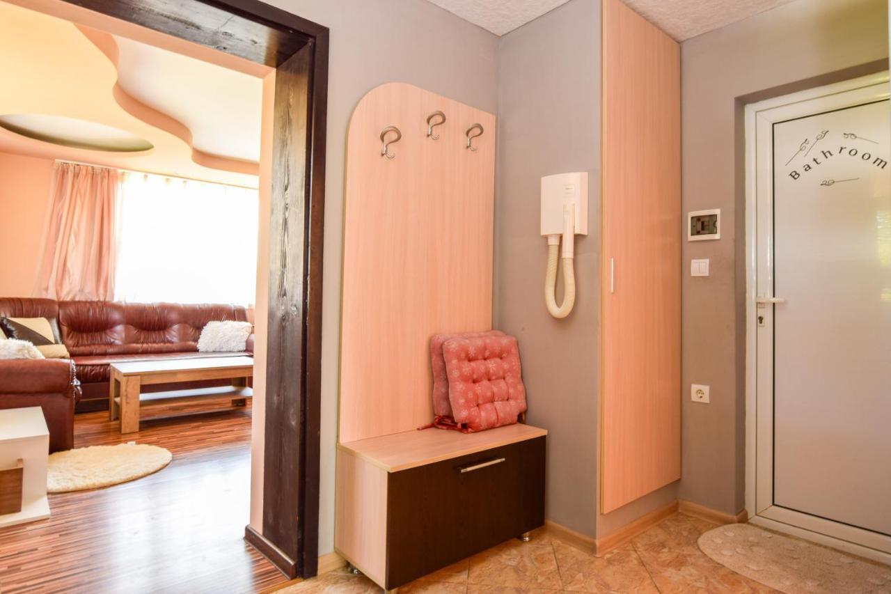 Mariana Apartment Pavel Banja Exteriér fotografie